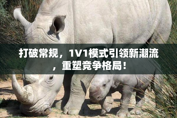 打破常规，1V1模式引领新潮流，重塑竞争格局！