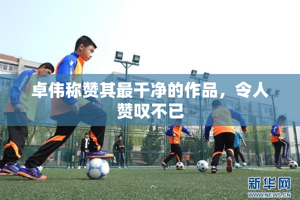 卓伟称赞其最干净的作品，令人赞叹不已