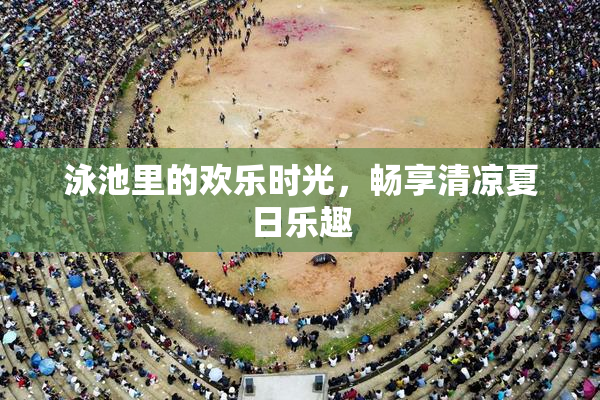 泳池里的欢乐时光，畅享清凉夏日乐趣