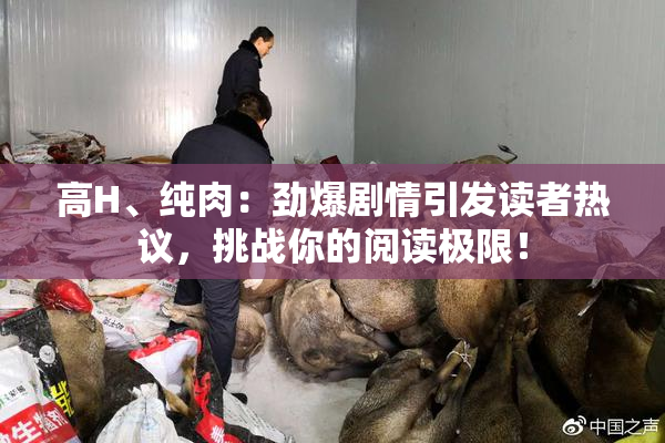 高H、纯肉：劲爆剧情引发读者热议，挑战你的阅读极限！