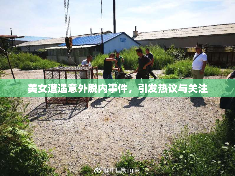 美女遭遇意外脱内事件，引发热议与关注