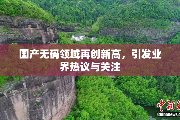 国产无码领域再创新高，引发业界热议与关注