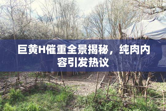 巨黄H催重全景揭秘，纯肉内容引发热议