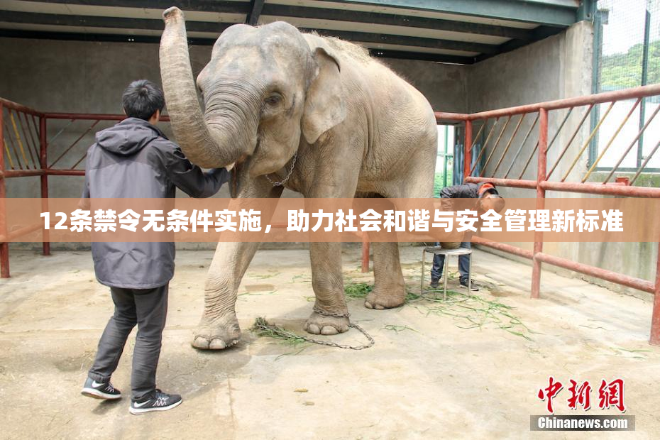 12条禁令无条件实施，助力社会和谐与安全管理新标准