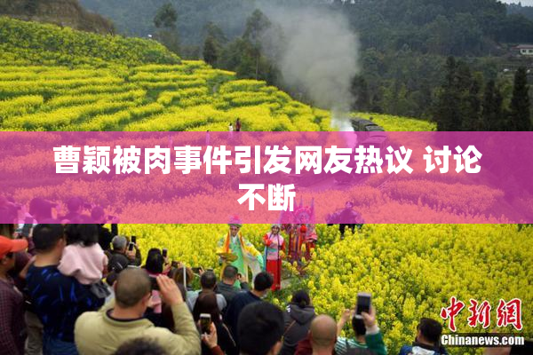 曹颖被肉事件引发网友热议 讨论不断