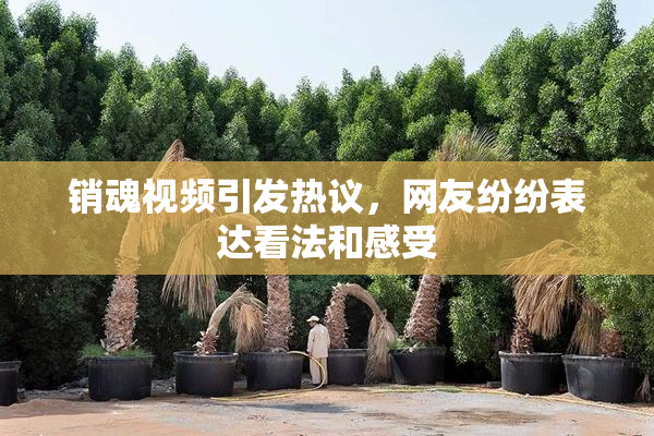 销魂视频引发热议，网友纷纷表达看法和感受