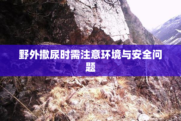野外撒尿时需注意环境与安全问题