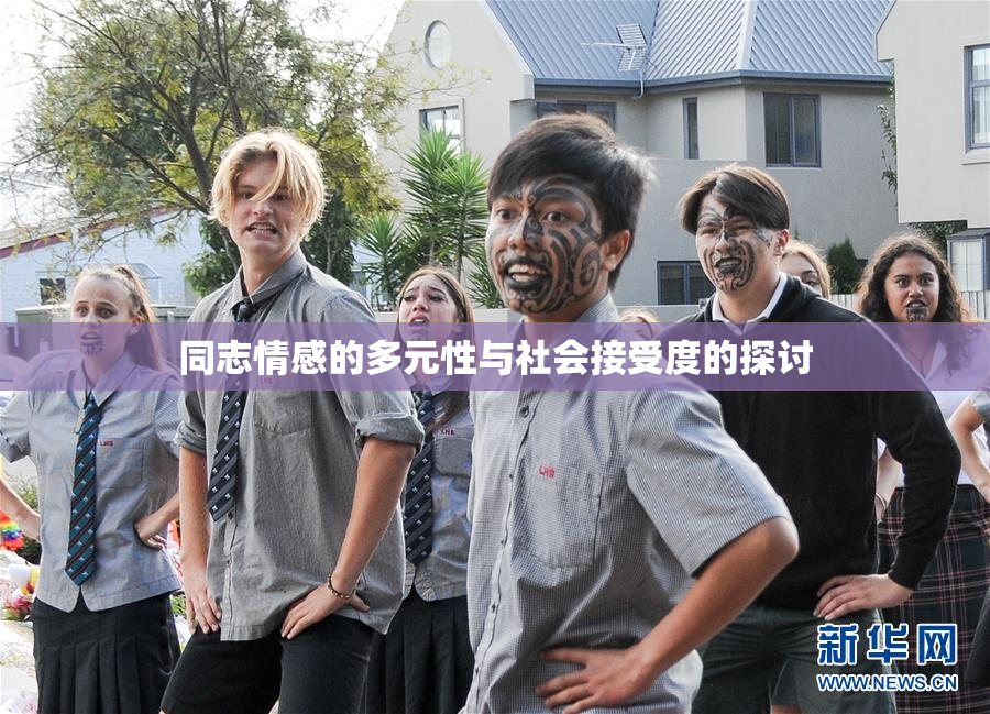 同志情感的多元性与社会接受度的探讨