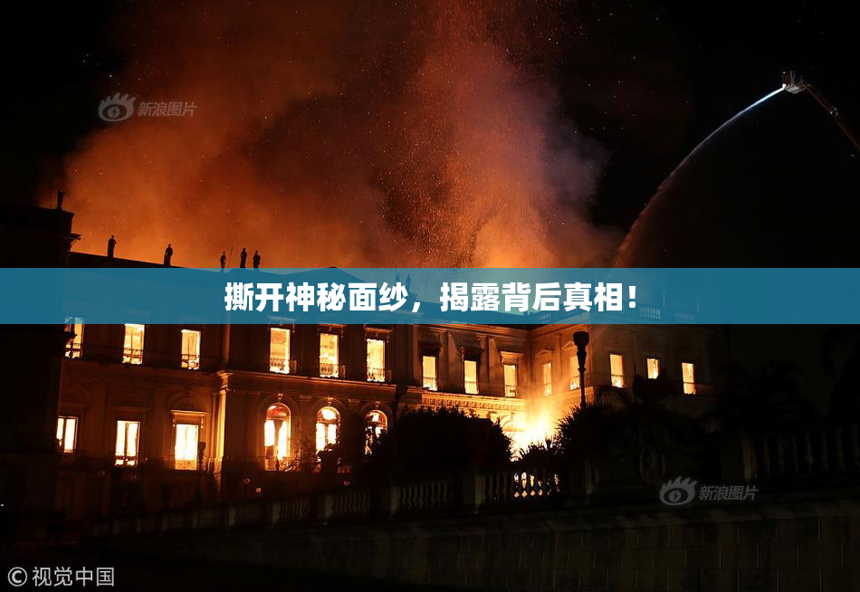 撕开神秘面纱，揭露背后真相！