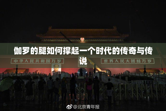 伽罗的腿如何撑起一个时代的传奇与传说
