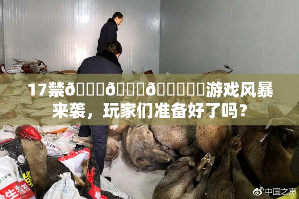 17禁🍆🍑🔞❌‌游戏风暴来袭，玩家们准备好了吗？