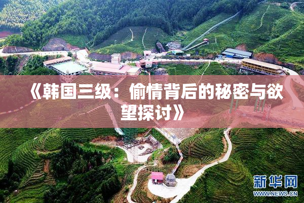 《韩国三级：偷情背后的秘密与欲望探讨》