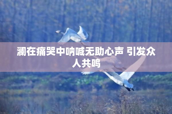 澜在痛哭中呐喊无助心声 引发众人共鸣