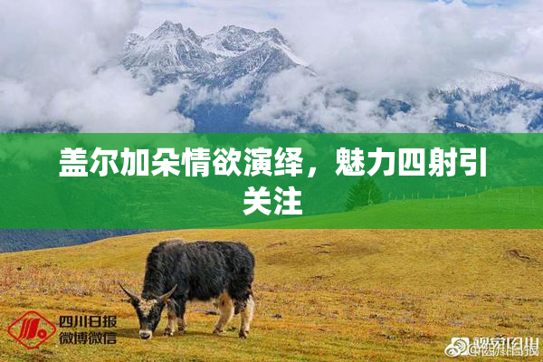 盖尔加朵情欲演绎，魅力四射引关注