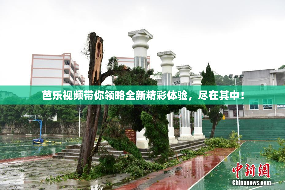 芭乐视频带你领略全新精彩体验，尽在其中！