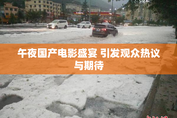 午夜国产电影盛宴 引发观众热议与期待