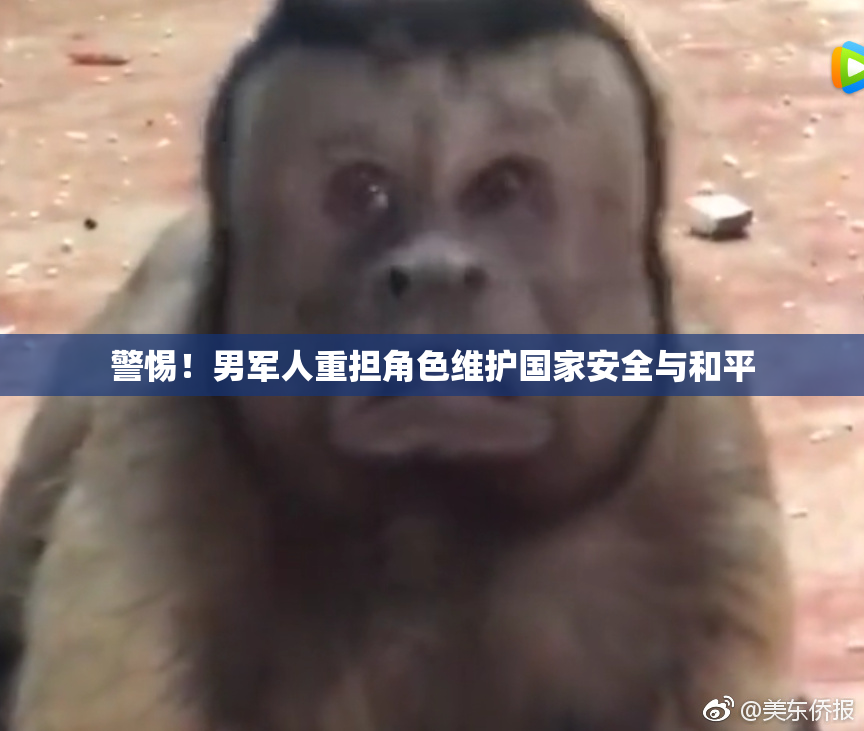 警惕！男军人重担角色维护国家安全与和平