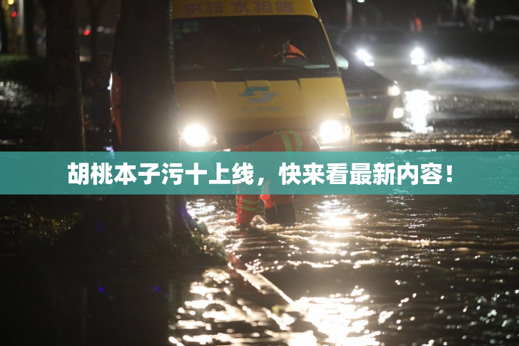 胡桃本子污十上线，快来看最新内容！