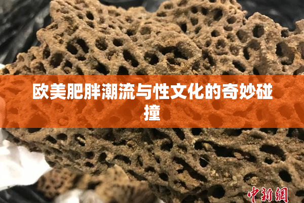欧美肥胖潮流与性文化的奇妙碰撞