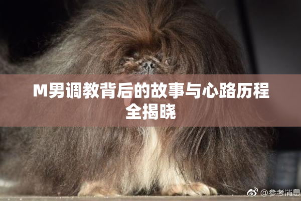 M男调教背后的故事与心路历程全揭晓