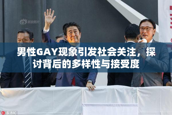 男性GAY现象引发社会关注，探讨背后的多样性与接受度