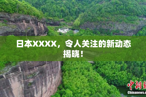 日本XXXX，令人关注的新动态揭晓！