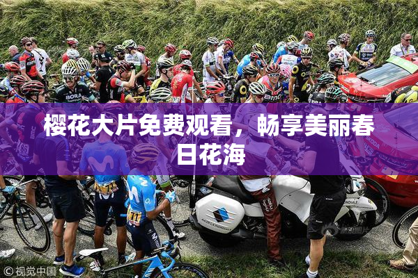 樱花大片免费观看，畅享美丽春日花海