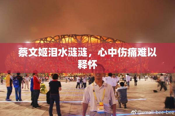 蔡文姬泪水涟涟，心中伤痛难以释怀