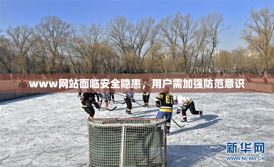 www网站面临安全隐患，用户需加强防范意识