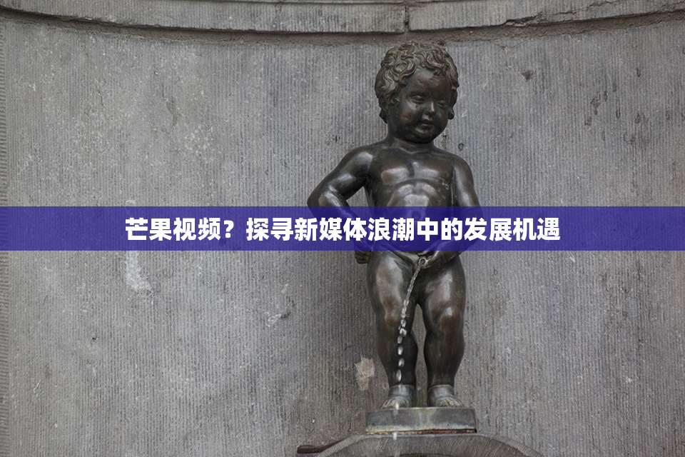 芒果视频？探寻新媒体浪潮中的发展机遇