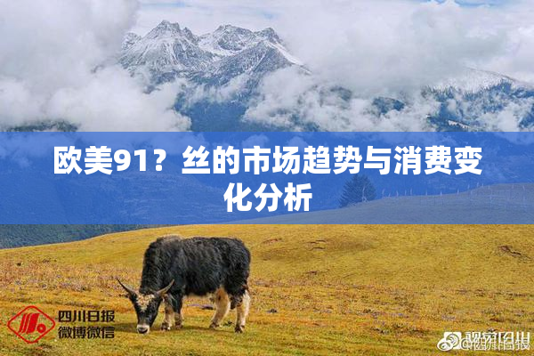 欧美91？丝的市场趋势与消费变化分析
