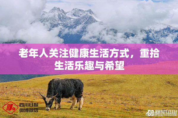 老年人关注健康生活方式，重拾生活乐趣与希望