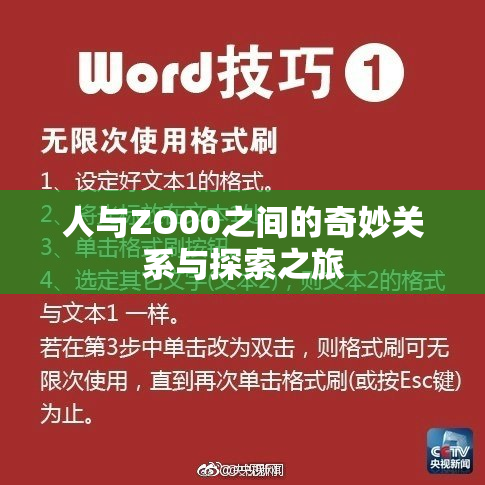 人与ZO00之间的奇妙关系与探索之旅
