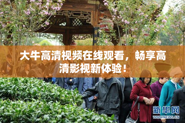 大牛高清视频在线观看，畅享高清影视新体验！