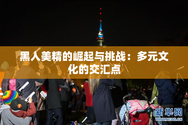 黑人美精的崛起与挑战：多元文化的交汇点