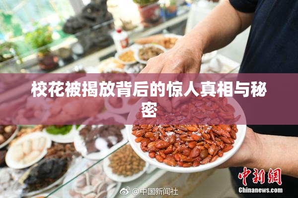 校花被揭放背后的惊人真相与秘密