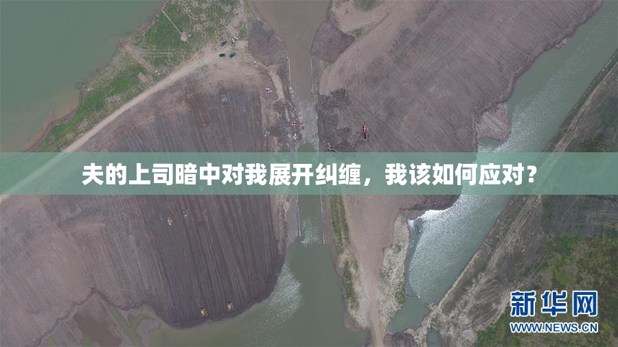 夫的上司暗中对我展开纠缠，我该如何应对？