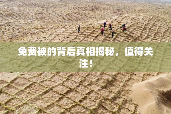免费被的背后真相揭秘，值得关注！