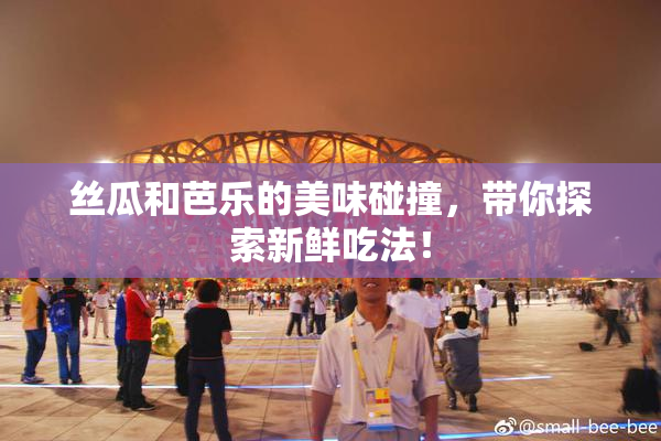 丝瓜和芭乐的美味碰撞，带你探索新鲜吃法！