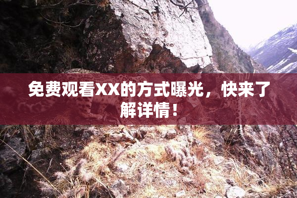 免费观看XX的方式曝光，快来了解详情！