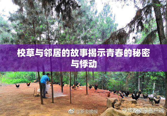 校草与邻居的故事揭示青春的秘密与悸动