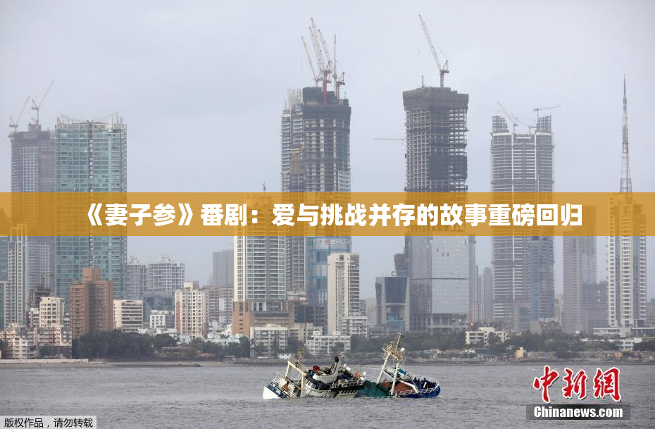 《妻子参》番剧：爱与挑战并存的故事重磅回归