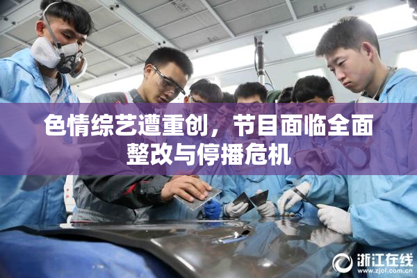 色情综艺遭重创，节目面临全面整改与停播危机