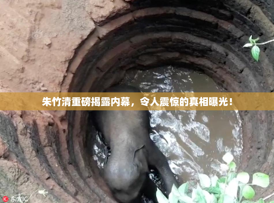 朱竹清重磅揭露内幕，令人震惊的真相曝光！