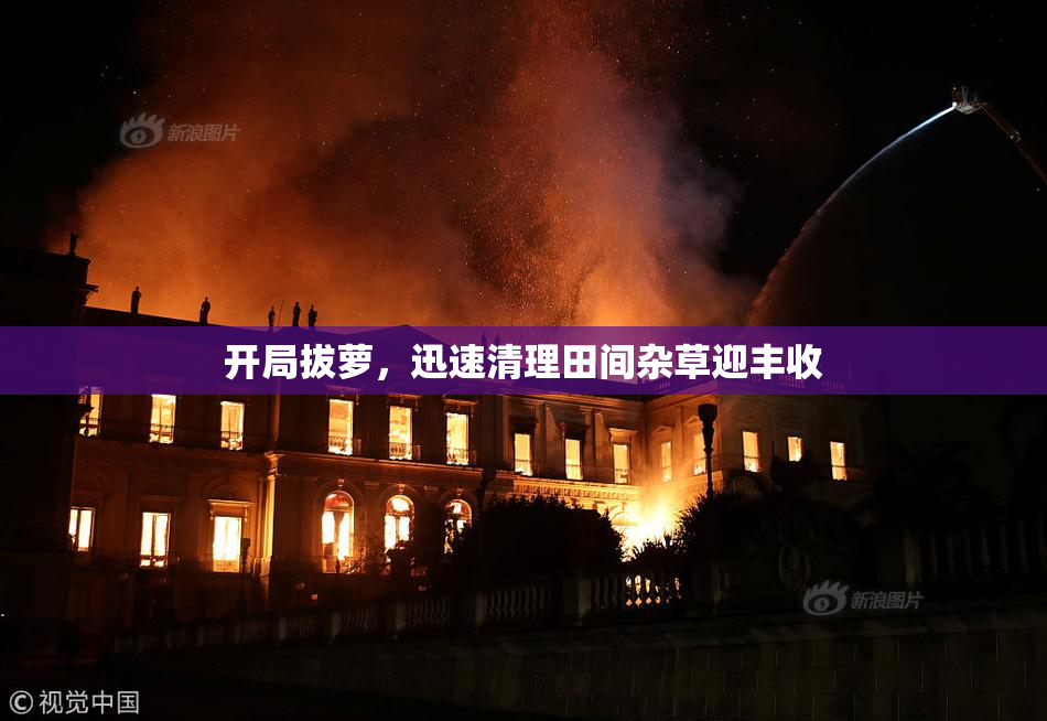 开局拔萝，迅速清理田间杂草迎丰收