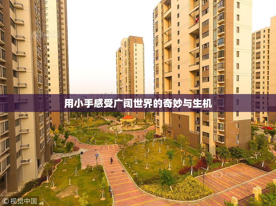 用小手感受广阔世界的奇妙与生机
