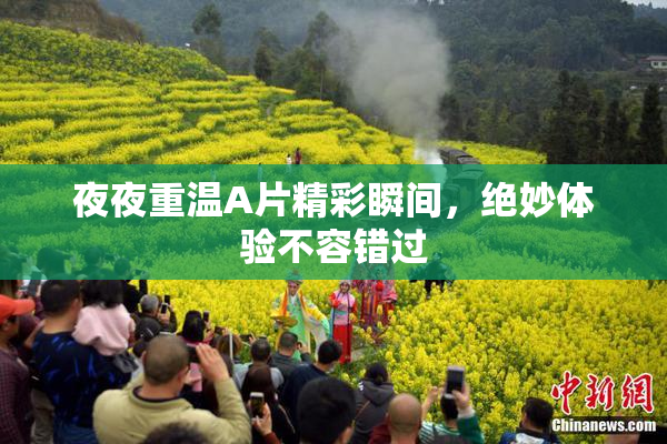 夜夜重温A片精彩瞬间，绝妙体验不容错过