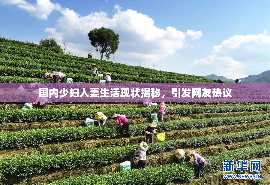 国内少妇人妻生活现状揭秘，引发网友热议