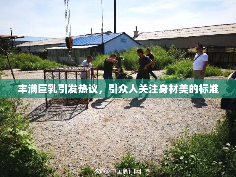 丰满巨乳引发热议，引众人关注身材美的标准