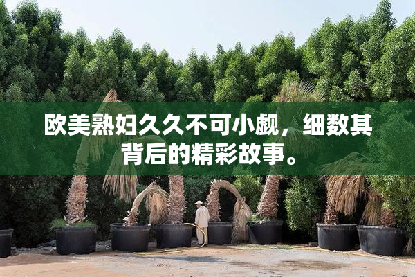 欧美熟妇久久不可小觑，细数其背后的精彩故事。
